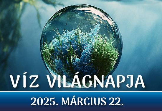 Víz Világnapja